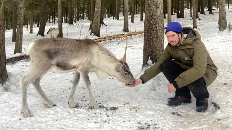 rencontrer les rennes