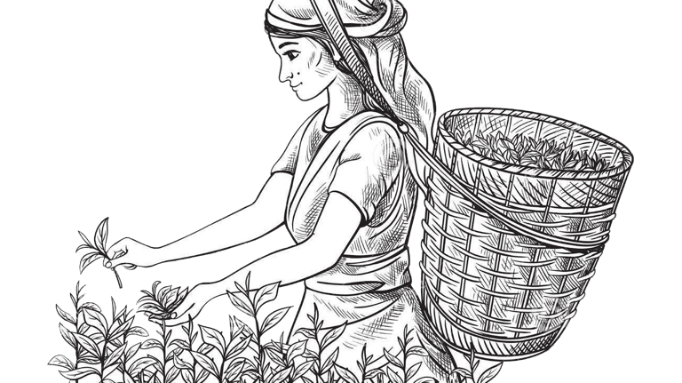 Periya Peak Tea Factory