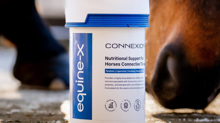 a horse with a tub of connexion horse tendon supplement