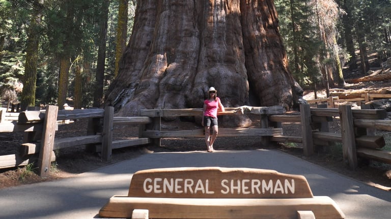 a woman standing in front of General Sherman the worlds largest tree