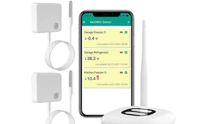 WiFi Thermometer Freezer Alarm, Email Alert, App Notification, Data Record Export, No Subscription F
