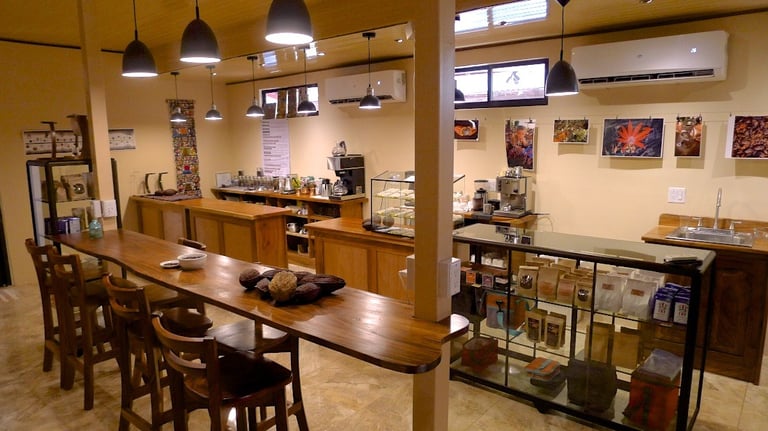Reina's Chocolate Cafe and Tasting Room near Tamarindo