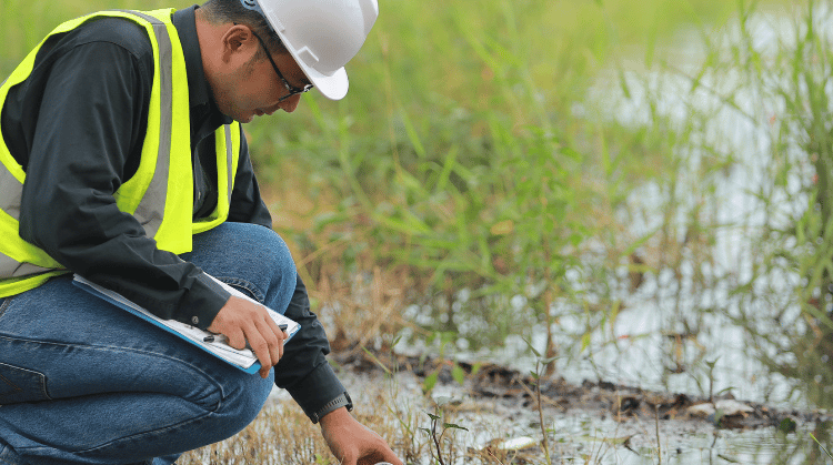 site assesment