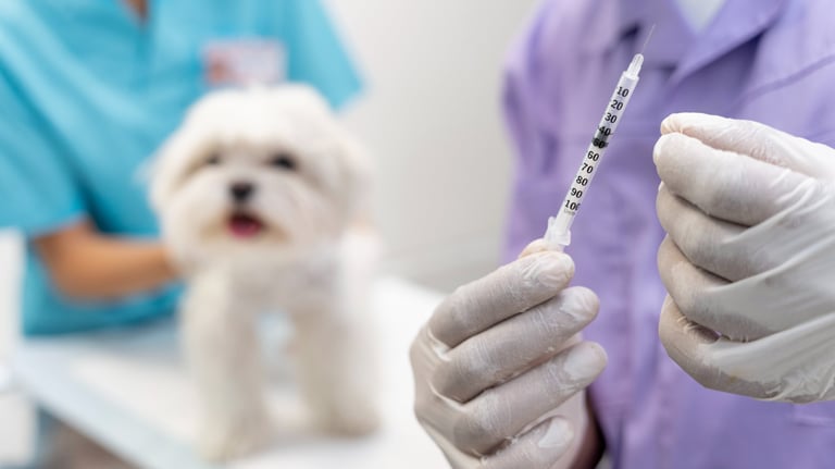 dog vaccine cat vaccine