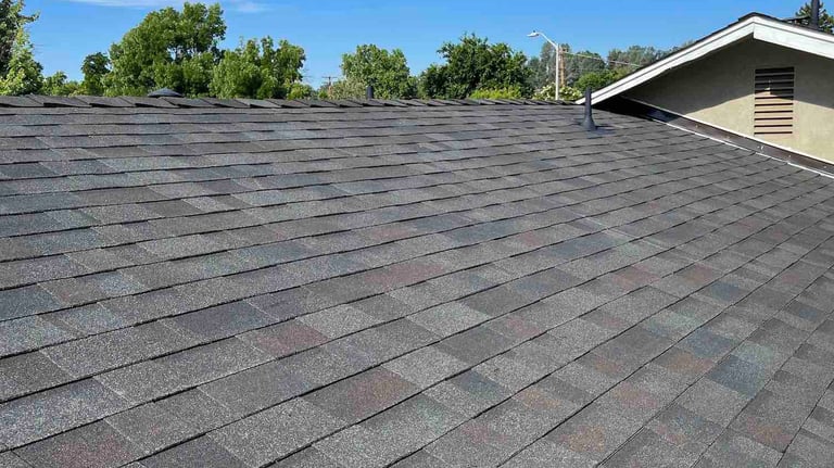 Shingle Roof
