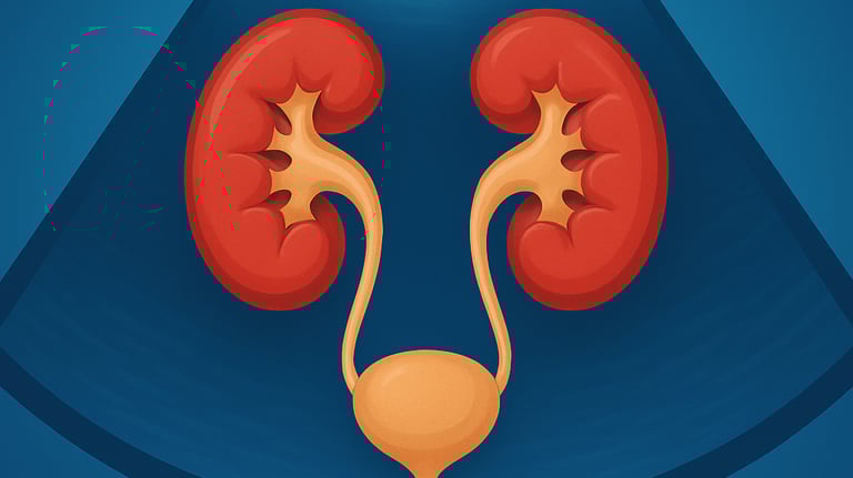 Ecografia renale e vie urinarie Qualiano - Esame reni e vescica studio Dott. Picascia