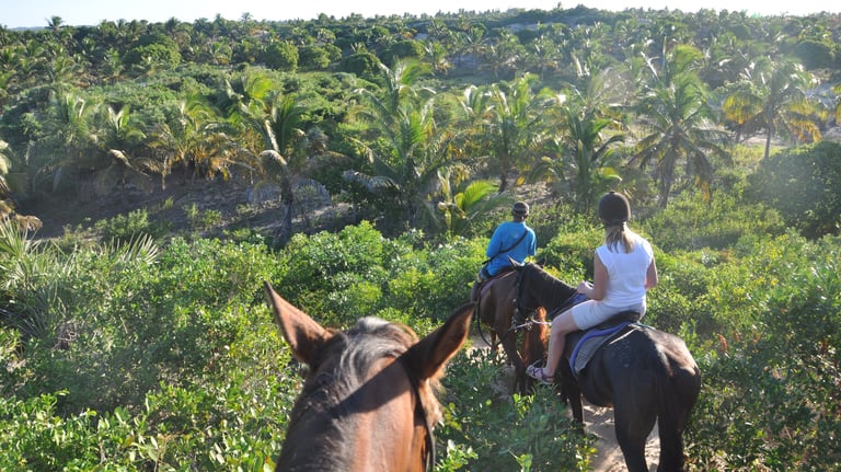 Nick and Tracey Billington Horse riding at Tofo Beach, Praia do Tofo, Mozambique