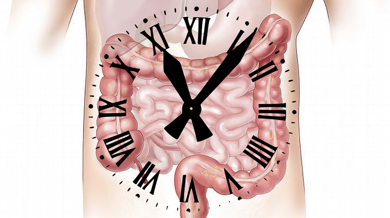 Image of digestive system with clock overlay symbolizing constipation.