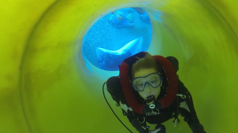 Formation Recycleur Lungfish 