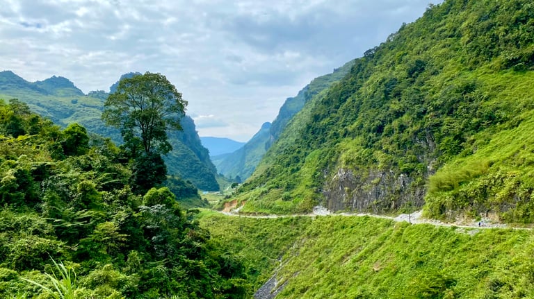 a mountain scene with a winding road and a winding road