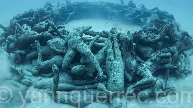 Museo Atlántico « The Human Gyre »