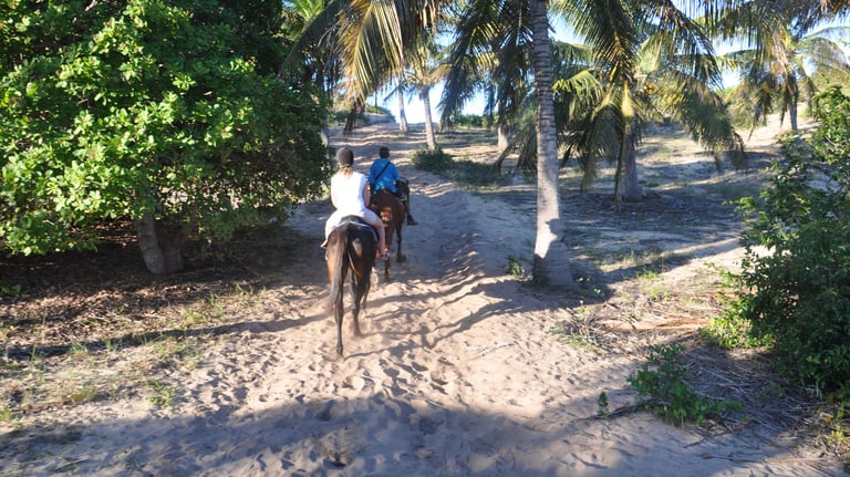 Nick and Tracey Billington Horse riding at Tofo Beach, Praia do Tofo, Mozambique