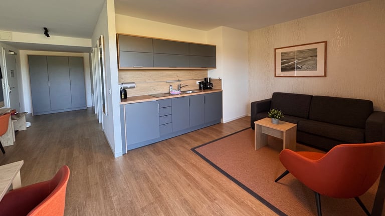 Wohnzimmer mit Küchenzeile, Couch und Sessel
