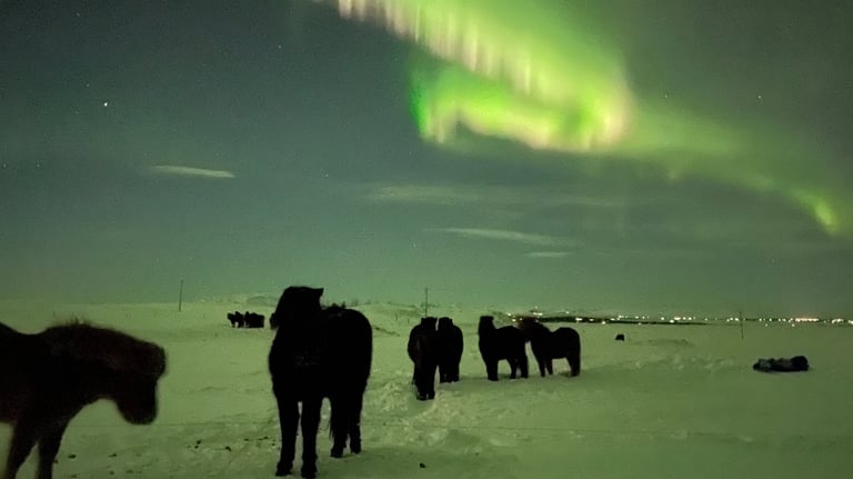 northern lights, iceland