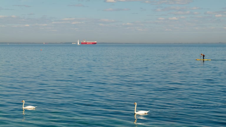 Horizon scanning and analysis: spot tomorrow’s challenges today.