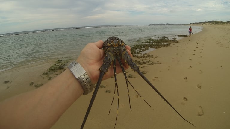 man digging for crustaceans at tofo Beach, Praia do Tofo, Mozambique