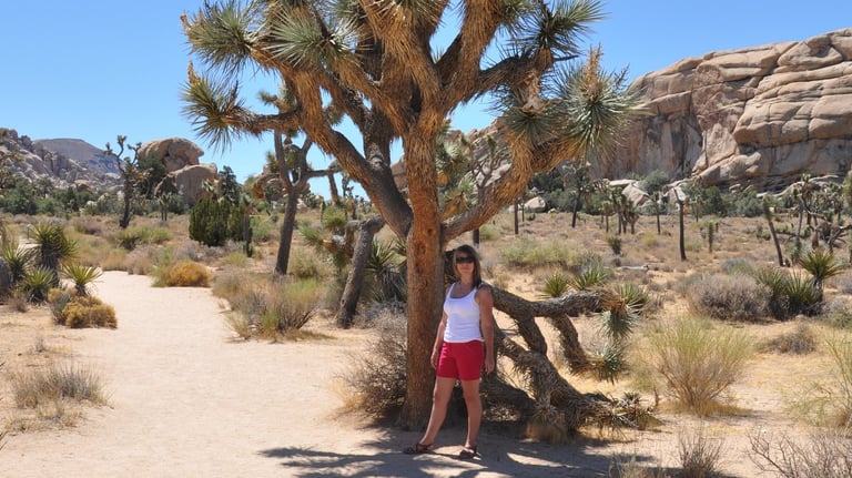 Joshua Tree National Park