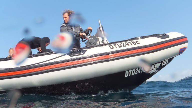 dive rib, Aliwal Shoal, Umkomaas, South Africa