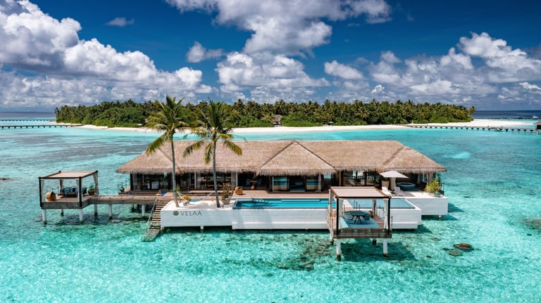 a house with a thatched roof and a thatched roof, Velaa Private Island