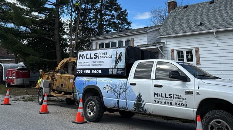 tree removal services from mills tree service in north bay