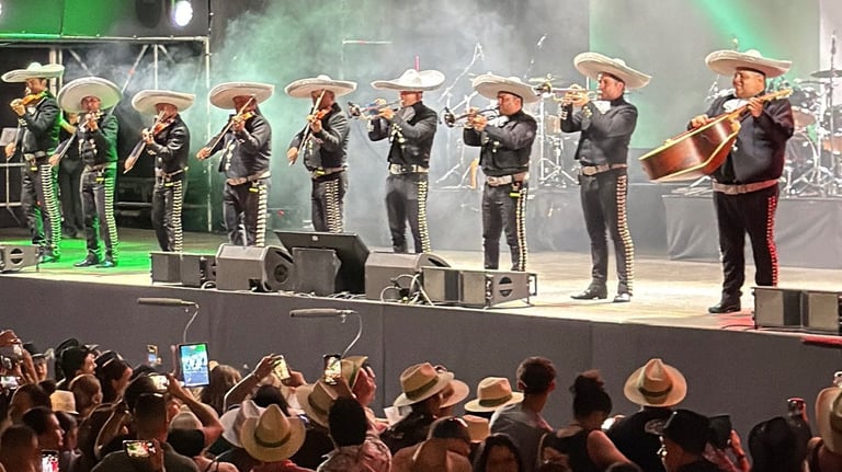 Mariachi en fiesta privada en Madrid