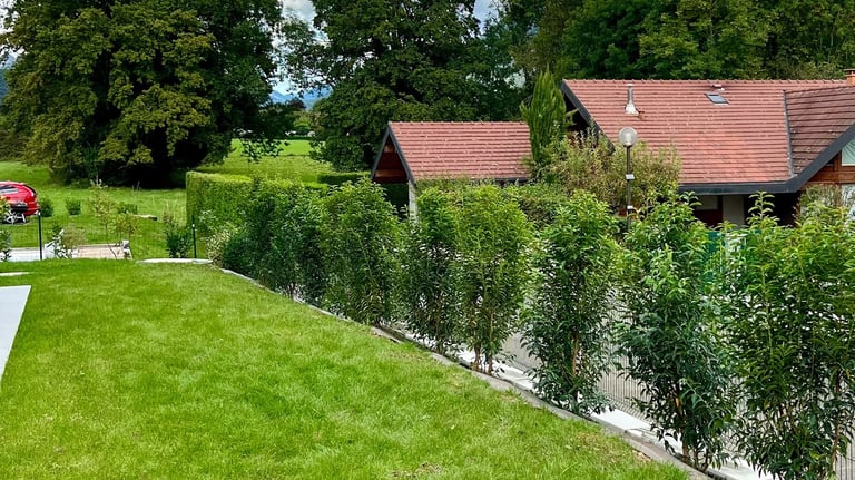 <img src="gazon-haie-sevrier.jpg" alt="Création de pelouse et plantation de haie par paysagiste à Sé