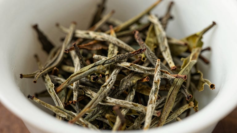 A macro photograph of high-grade dried Chinese tea leaves on an Off-white ceramic surface, showcasing the meticulous processing and uniform texture.