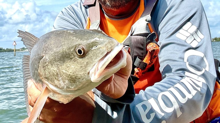 Redfish caught on bait and lures Indian River Lagoon Florida
