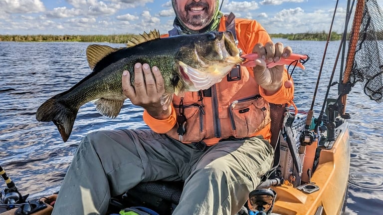 Bass fishing Headwaters Lake Florida