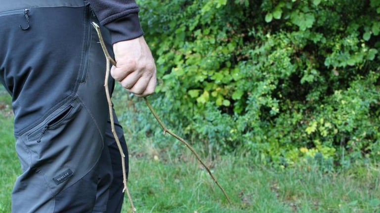 Pendules en bois