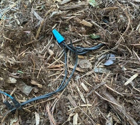 Low voltage outdoor landscape lighting wires with blue waterproof wire nut connector on wood mulch.
