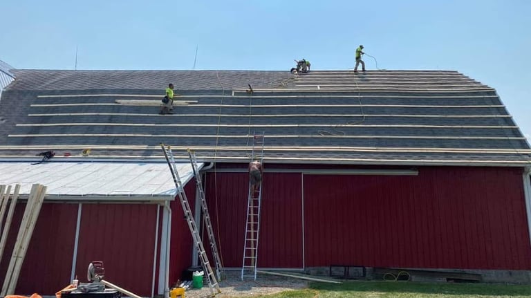 Roofing contractors installing new shingles and wooden slats on a large red barn roof
