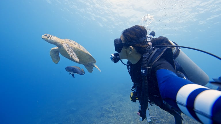 Diver taking a selfie with a swimming green turtle at Lankayan Island reef.