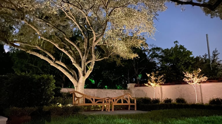 tree canopy up lighting