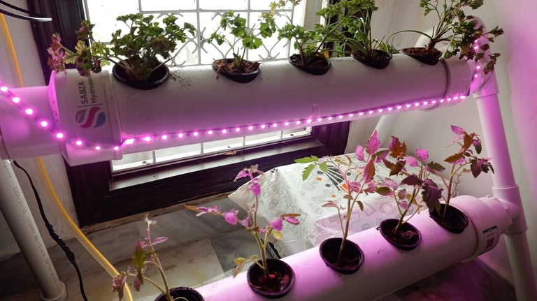 hydroponics system with grow light