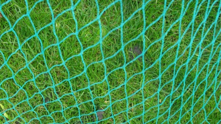 green net
