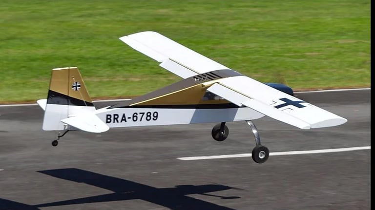 avião mutley