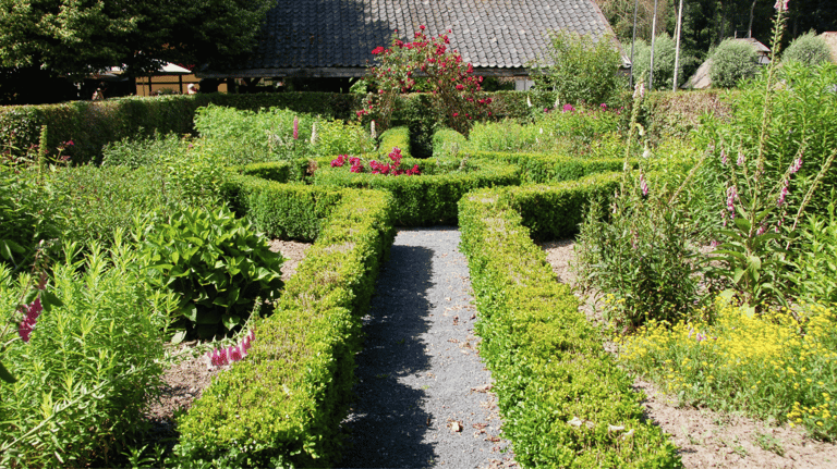 Boxwood hedges forming geometric patterns with gravel pathways and a central focal point