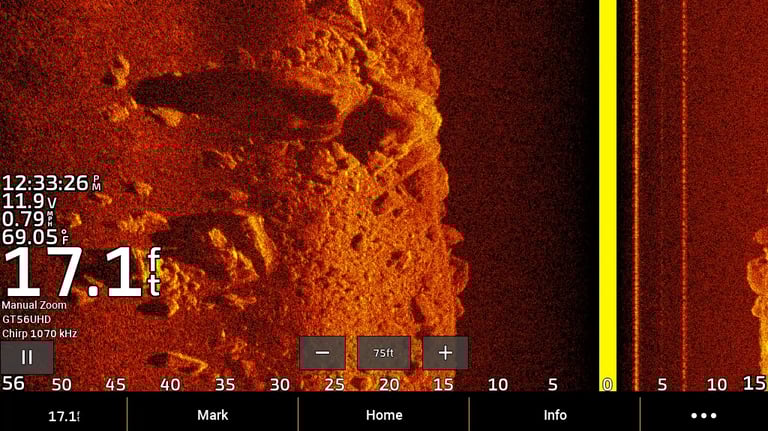 Garmin side imaging showing bass and shadow