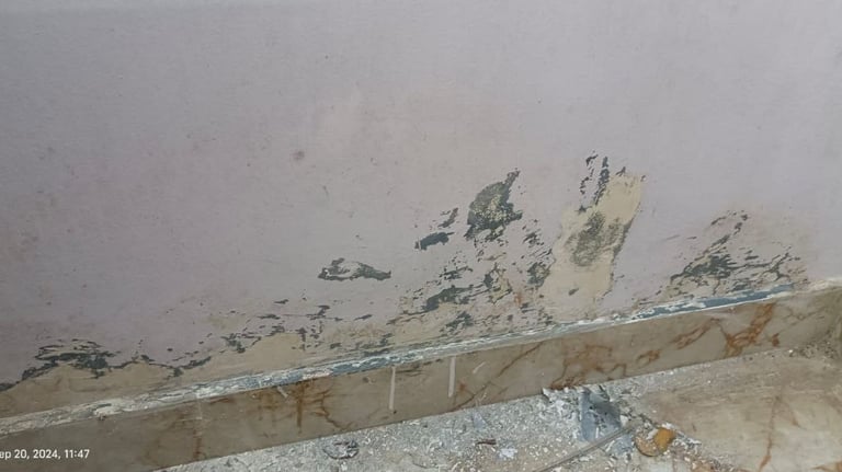 btc plumbing services in Bangalore water leakage detection services