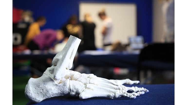 Szkolenie dobór wkładek ortopedycznych