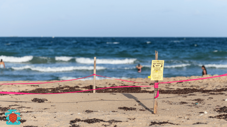 Iztuzu Beach conservation area warning signs