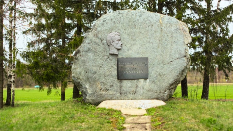 Juliaus Janonio gimtosios sodybos vieta