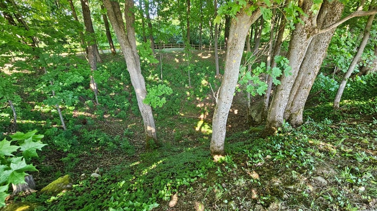 klevų duobė, lankytinos vietos Biržuose, karstinės įgriuvos