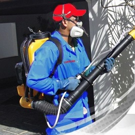 técnico profissional em controle de pragas com um pulverizador