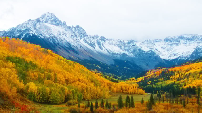Colorado Center for Public Safety Psychiatry