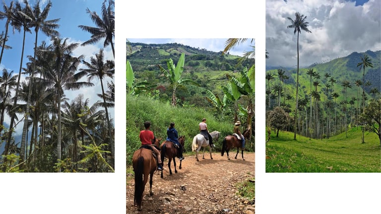 valle de la carbonera rayona