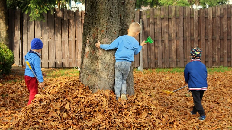 Zeytinburnu Mono Psikoloji 