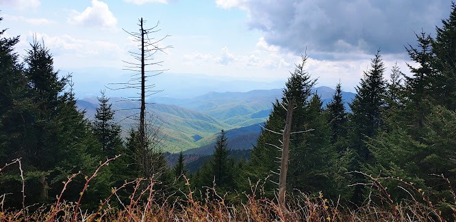 Smoky Mountains, N. Carolina - Newfound Gap is the lowest drivable pass thru the Great Smokies