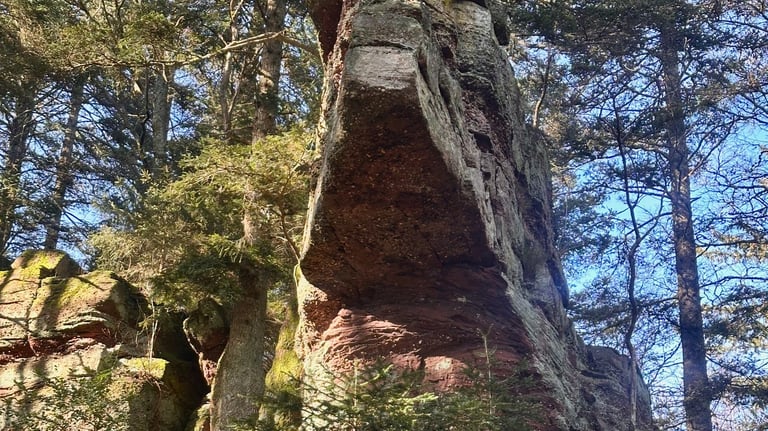 rochers particuliers massif du Taennchel la montagne des dieux energie tellurique legendes celtes mur paien